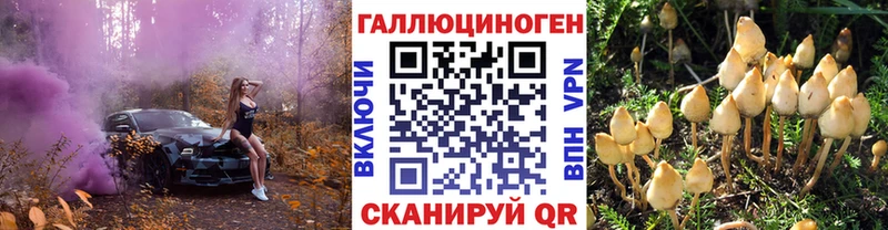 Купить где  Карабаш  Галлюциногенные грибы MAGIC MUSHROOMS 